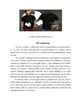 Referāts 'Mārketings mūzikas nozarē - produktu mārketings, DIY mārketings, sociālo tīklu n', 5.