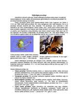 Referāts 'Kosmiske lidojumi', 26.