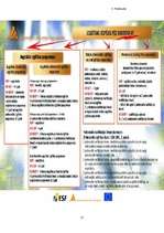 Referāts 'Augstākā izglītība Vācijā', 17.