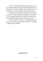 Referāts 'Rotas mīnmetēji šodien un nākotnē', 10.