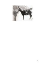 Referāts 'Rotas mīnmetēji šodien un nākotnē', 14.