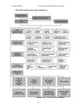 Referāts 'Latvijas komercbanku lielāko akcionāru raksturojums', 13.