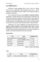 Referāts 'Latvijas komercbanku lielāko akcionāru raksturojums', 34.