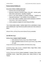 Referāts 'Latvijas komercbanku lielāko akcionāru raksturojums', 46.