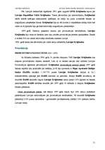 Referāts 'Latvijas komercbanku lielāko akcionāru raksturojums', 51.