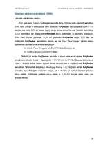 Referāts 'Latvijas komercbanku lielāko akcionāru raksturojums', 54.