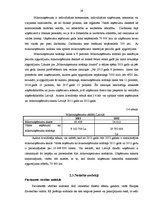 Referāts 'Nodokļu slogs uzņēmējdarbībā', 19.