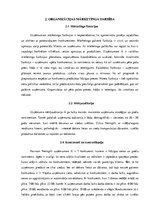 Prakses atskaite 'Mārketinga audits uznēmumā "X"', 6.