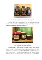 Prakses atskaite 'Mārketinga audits uznēmumā "X"', 8.