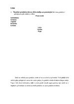 Prakses atskaite 'Mārketinga audits uznēmumā "X"', 16.