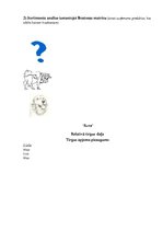 Prakses atskaite 'Mārketinga audits uznēmumā "X"', 17.