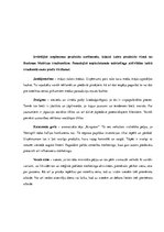 Prakses atskaite 'Mārketinga audits uznēmumā "X"', 18.