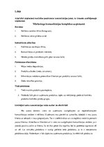 Prakses atskaite 'Mārketinga audits uznēmumā "X"', 19.