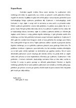 Prakses atskaite 'Mārketinga audits uznēmumā "X"', 21.