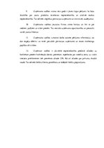 Prakses atskaite 'Mārketinga audits uznēmumā "X"', 23.