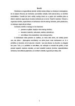 Referāts 'A.Maslova vajadzību teorija', 2.