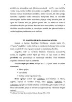Diplomdarbs 'Aizgādības institūta teorētiskie un praktiskie aspekti', 16.