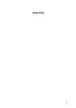 Referāts 'Other Side of the Successful Leadership', 8.