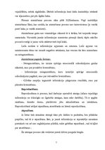 Referāts 'Atmiņa un tas attīstības iespējas', 7.