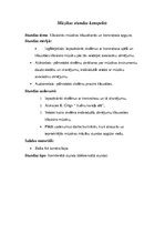 Konspekts 'Mūzikas stundas konspekts sākumskolai - klasiskās mūzikas klausīšanās un kontrab', 1.