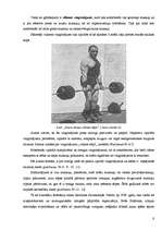 Referāts 'Spēka trīscīņa jauniešiem', 9.