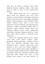 Referāts 'Broms', 4.