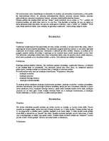 Prakses atskaite 'Konformisms', 3.