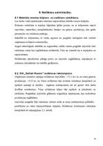 Biznesa plāns 'Biznesa plāns SIA "Sārtais rausis"', 20.