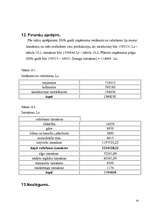 Biznesa plāns 'Biznesa plāns SIA "Sārtais rausis"', 24.