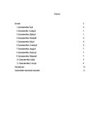 Konspekts 'Ziemassvētku svinēšanas tradīcijas pasaulē', 2.