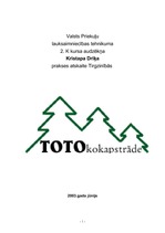 Prakses atskaite 'Prakses atskaite tirgzinībās', 18.