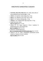 Referāts 'Organizācijas imidžs', 18.