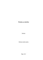 Referāts 'Tiesības uz dzīvību', 1.