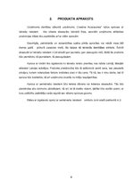 Biznesa plāns 'Creative accssesories', 8.