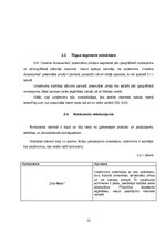 Biznesa plāns 'Creative accssesories', 10.