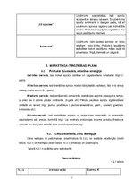 Biznesa plāns 'Creative accssesories', 11.