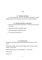 Biznesa plāns 'Creative accssesories', 15.