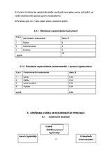 Biznesa plāns 'Creative accssesories', 17.