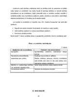 Biznesa plāns 'Creative accssesories', 20.