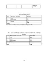 Biznesa plāns 'Creative accssesories', 25.