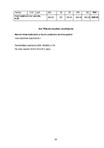 Biznesa plāns 'Creative accssesories', 29.