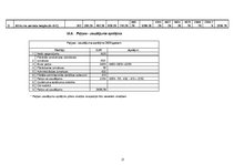 Biznesa plāns 'Creative accssesories', 31.