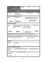 Biznesa plāns 'Creative accssesories', 39.