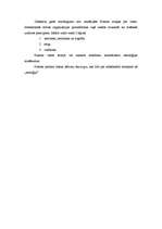 Konspekts 'Platona filosofijas pamatprincipi', 2.