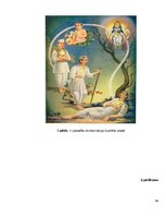 Referāts 'Reinkarnācijas vēsturiskā attīstība un tās nozīme mūsdienās', 46.