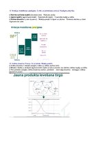 Konspekts 'Sistēmu modelēšanas konspekts, gatavojoties eksāmenam', 11.