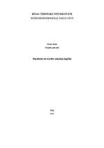 Referāts 'Hipotekārais kredīts mājokļa iegādei', 1.