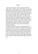 Referāts 'Ienākumu sadales problēmas Latvijā mūsdienās', 1.