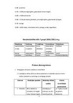 Prakses atskaite 'Aktīvā mācību audzināšanas prakse pirmsskolā', 6.