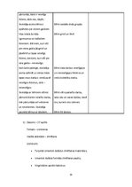 Prakses atskaite 'Aktīvā mācību audzināšanas prakse pirmsskolā', 19.